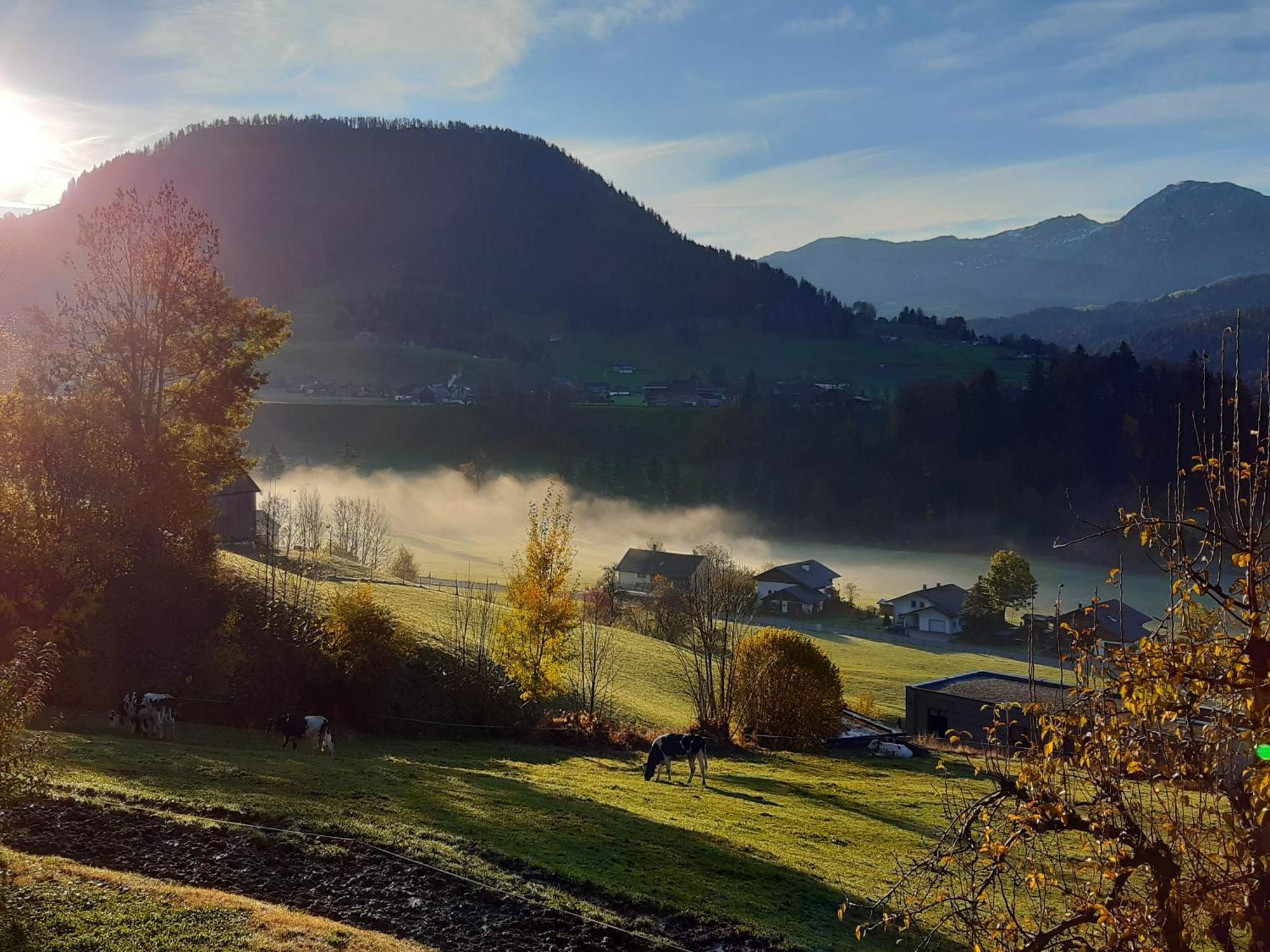 Ferienhof Duerlinde Hittisau Exterior foto