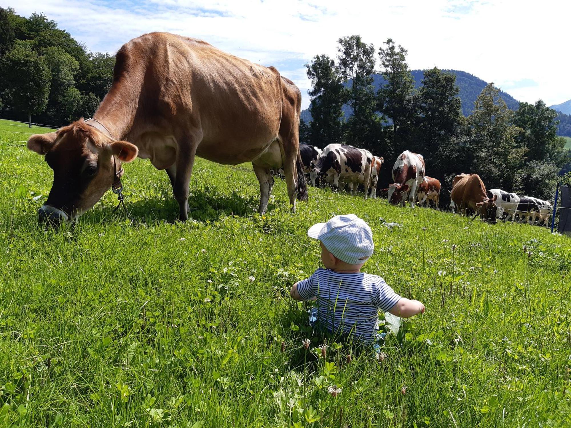 Ferienhof Duerlinde Hittisau Exterior foto
