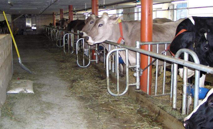 Ferienhof Duerlinde Hittisau Exterior foto