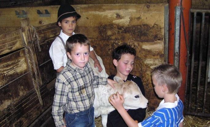 Ferienhof Duerlinde Hittisau Exterior foto